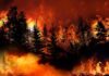 Man Accused of Arson in San Diego County Fires Case