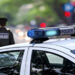 Authorities Investigate Claims That Foster Mother Traded Girl for Monkey