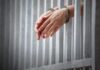 Lawyers Nearly 9 Million Fraud Scheme Lands Her in Prison