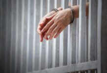Lawyers Nearly 9 Million Fraud Scheme Lands Her in Prison
