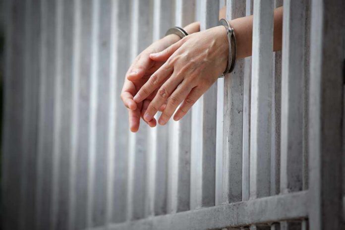Lawyers Nearly 9 Million Fraud Scheme Lands Her in Prison
