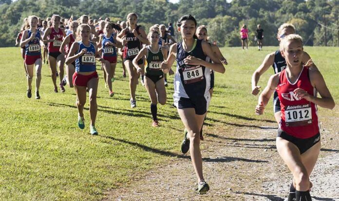 Group of runners in a cross country race