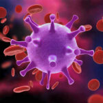 Virus surrounded by red blood cells