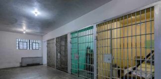 Interior view of a prison cell block with metal bars and concrete flooring