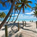 Human Foot Sparks Beach Panic Tropical beach with palm trees and clear blue water