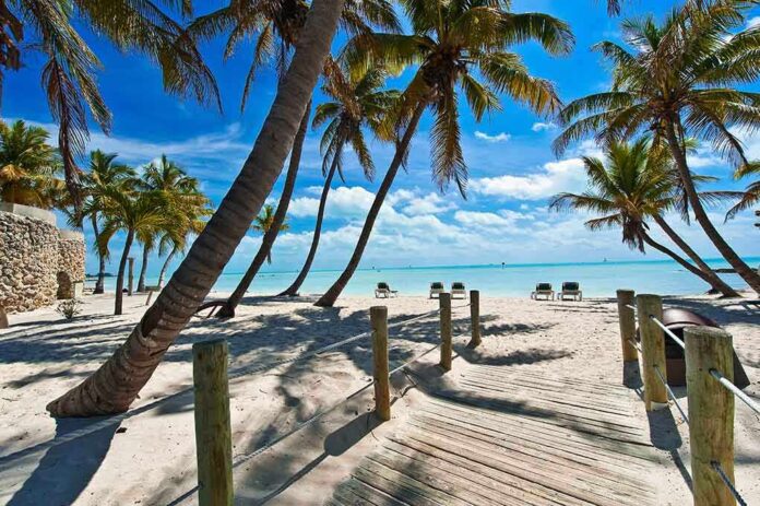 shutterstock_153029399.jpg Tropical beach with palm trees and clear blue water