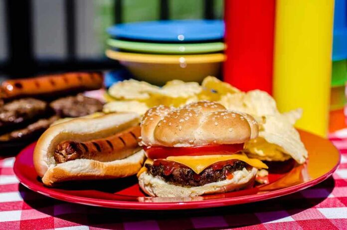 shutterstock_154709804.jpg A plate with a hamburger, hot dog, and potato chips on a picnic table
