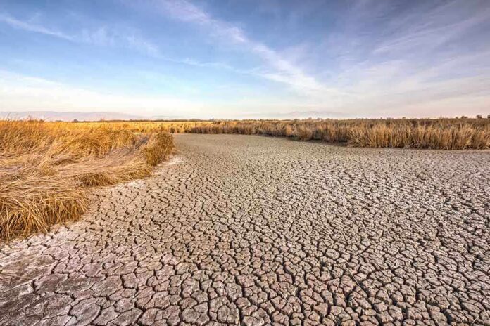 A dry, cracked landscape with sparse grass and a blue sky