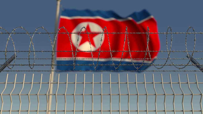 Barbed wire fence with North Korean flag behind.