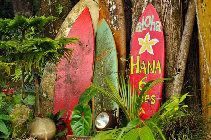 Colorful surfboards leaning against a tree in a tropical setting