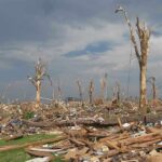 A landscape showing destruction from a natural disaster with fallen trees and debris scattered across the ground