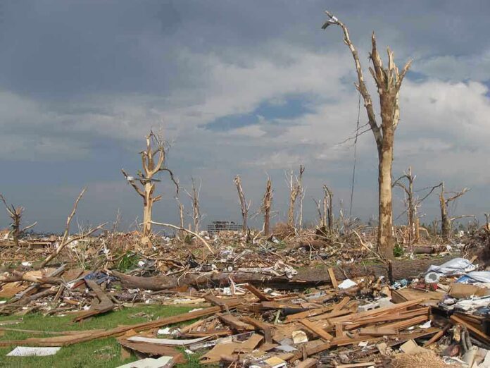 A landscape showing destruction from a natural disaster with fallen trees and debris scattered across the ground