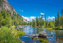 Mountain river landscape with trees and clear blue sky.