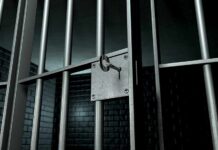 Close-up of a locked prison gate with metal bars