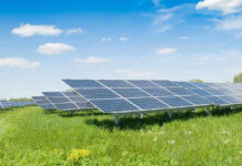 Solar panels in a grassy field under blue sky.