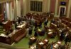 Minnesota lawmakers stage sit-in over gun safety bill