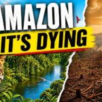 Amazon’s Imminent Collapse – Too Late? Amazon Rainforest:The Collapse Has Already Begun