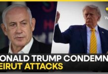 Israel Strikes Lebanon: Trump Says Very Close To Deal, Criticises Israeli Attack | WION