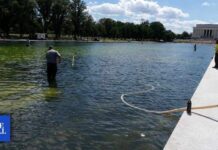 Trump’s Lincoln Memorial Reflecting Pool work comes under scrutiny: 4 things to know
