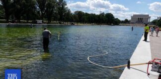 Trump’s Lincoln Memorial Reflecting Pool work comes under scrutiny: 4 things to know