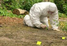 The Parasite That Eats Animals Alive — Now in Texas Forensic investigator in a protective suit collecting evidence from the ground
