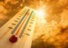France Confirms Heat-Linked Deaths A thermometer displaying temperature against a sunset sky