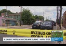 Houston Worker Killed in ICE Stop FBI investigates fatal shooting involving immigration agent during Houston traffic stop