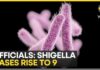 Keralam Shigella Outbreak: What is Shigella Infection; How ...