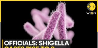 Keralam Shigella Outbreak: What is Shigella Infection; How ...