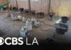 Quiet Lot, Industrial Meth Operation LA County deputies find meth lab with 800 pounds of narcotics during illegal dumping call