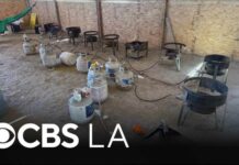 LA County deputies find meth lab with 800 pounds of narcotics during illegal dumping call