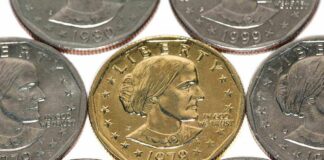 A collection of coins featuring a gold coin surrounded by silver coins