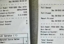 Stolen Checks… And Ballots? Scottsdale Shock Fulton County admits to verifying 315,000 votes in 2020 without poll worker signatures