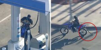 Wild LA chase: Dirt bike rider makes unusual pit stops, cuts through parks