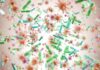 Feds Build Massive DNA Vault — No Age Limit Colorful microscopic bacteria and viruses floating in space