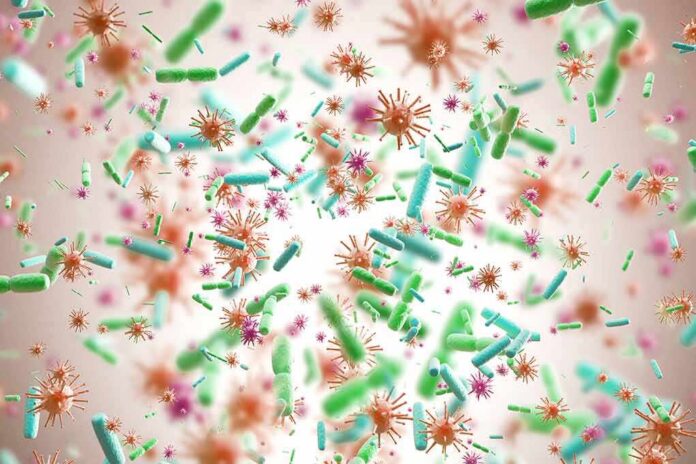 shutterstock_749207107 Colorful microscopic bacteria and viruses floating in space