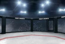 Wrestling Star’s Sudden Death Shocks Fans Empty MMA octagon under bright arena lights