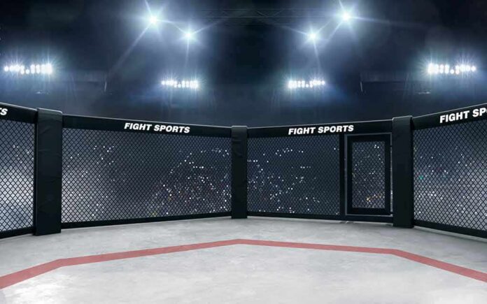 Empty MMA octagon under bright arena lights