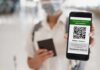 person holding smartphone showing vaccination certificate QR code