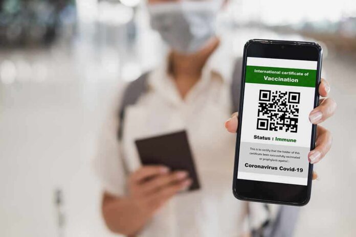person holding smartphone showing vaccination certificate QR code