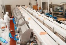 Workers in protective gear at a food processing conveyor line