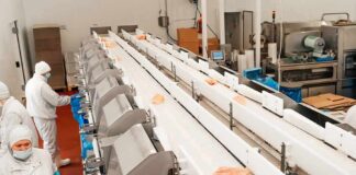 Workers in protective gear at a food processing conveyor line