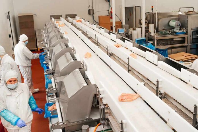 shutterstock_2140601041 Workers in protective gear at a food processing conveyor line